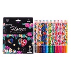 Карандаши 24 цвета, в картонной коробке, шестигранные, деревянные «Цветы на чёрном», МИКС - Фото 1