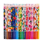 Карандаши 24 цвета, в картонной коробке, шестигранные, деревянные «Цветы на чёрном», МИКС - Фото 3