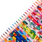 Карандаши 24 цвета, в картонной коробке, шестигранные, деревянные «Цветы на чёрном», МИКС - Фото 4