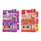 Набор карандашей цветных чернографитных Yalong, 12 штук, 2 точилки, 2 ластика, в папке на молнии, МИКС - Фото 2