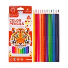 Набор карандашей цветных чернографитных Yalong, 12 штук, 2 точилки, 2 ластика, в папке на молнии, МИКС - Фото 3