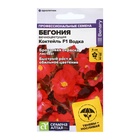 Семена цветов Бегония Коктейль F1 Водка вечноцветущая, ц/п, 5 шт. - Фото 1