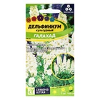 Семена цветов Дельфиниум Галахад, ц/п, 0,1 г. (комплект 2 шт) - фото 27747708