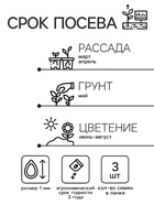 Семена цветов Изотома Джемини Блю, ц/п, 3 шт. - Фото 2