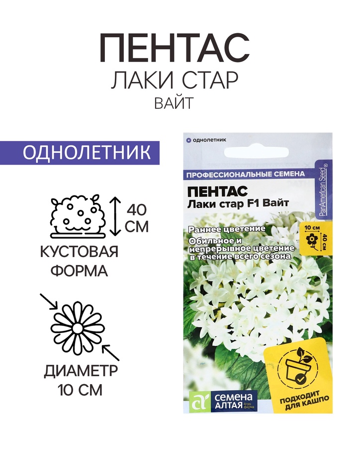 Семена цветов Пентас "Лаки стар" F1 Вайт ланцетовидный, ц/п, 3 шт. - Фото 1