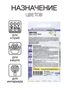 Семена цветов Пентас "Лаки стар" F1 Вайт ланцетовидный, ц/п, 3 шт. - Фото 3