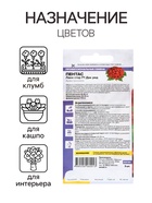 Семена цветов Пентас "Лаки стар" F1 Дак ред ланцетовидный, ц/п, 3 шт. - Фото 3