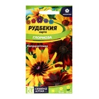Семена цветов Глориоза «Рудбекия хирта», 0.2 г - Фото 1