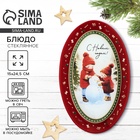 Блюдо овальное новогоднее «С Новым годом!», 24.5×15×2 см, стекло - Фото 1