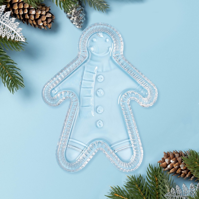 Блюдо «Новогоднее чудо. Пряня», 24×18.5×2.7 см, стекло, прозрачное - Фото 1