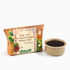 Чай чёрный новогодний «Всех благ в Новом году», со вкусом имбирного пряника, 20 г - Фото 2