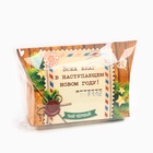 Чай чёрный новогодний «Всех благ в Новом году», со вкусом имбирного пряника, 20 г - Фото 7