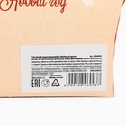 Чай чёрный «Новый год», со вкусом имбирного пряника, 20 г - Фото 7