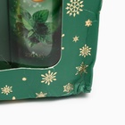 УЦЕНКА Новогодний подарочный набор косметики «Зимняя вьюга», с ароматом мяты и корицы. Зеленая серия - Фото 5