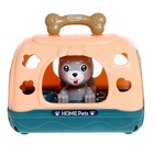 УЦЕНКА Интерактивная игрушка «Любимый питомец», звук, свет, цвета МИКС 10849126