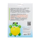 Уценка Развивающий набор «Черепашка-развивашка» 10849248