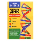УЦЕНКА Набор для опытов «Молекула ДНК» - Фото 6