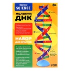 УЦЕНКА Набор для опытов «Молекула ДНК» - Фото 7