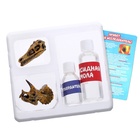 Игровой набор «Эпоха динозавров», 2 артефакта, с эпоксидной смолой, уценка - Фото 2