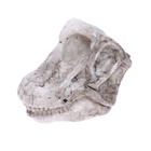 Игровой набор «Эпоха динозавров», 2 артефакта, с эпоксидной смолой, уценка - Фото 3