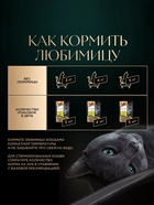 Влажный корм Sheba Natures для кошек, пауч, утка/яблочное рагу, 75 г - Фото 5