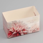 Коробка для 2 капкейка с прозрачной крышкой, «Презент», 16×8×10 см - Фото 2