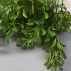 Букет искусственный «Самшит галант элит», h=29 см, МИКС - Фото 2