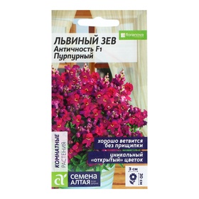 Семена цветов Львиный зев "Античность", пурпурный,  ц/п, 7 шт 10837128