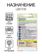 Семена комнатных цветов Глоксиния «Брокада Красная», F1, 5 шт., многолетник, «Семена Алтая» - Фото 3