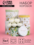 Набор шляпных коробок для цветов 5 в 1, упаковка подарочная, «Ромашки», 16×14 см - 22×19.5 см - Фото 1