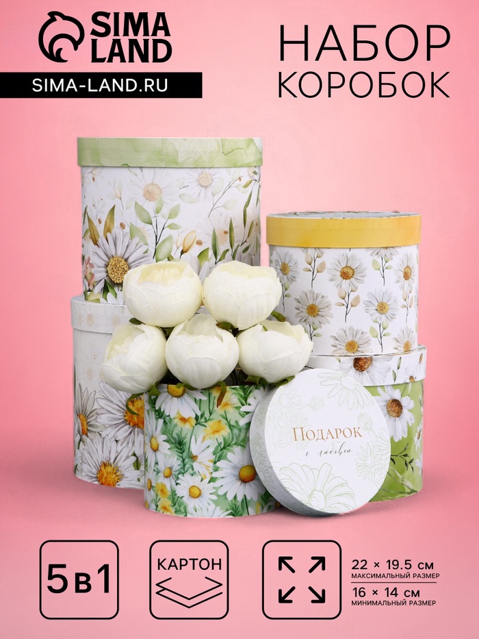 Набор шляпных коробок для цветов 5 в 1, упаковка подарочная, «Ромашки», 16×14 см - 22×19.5 см - Фото 1