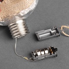 УЦЕНКА Набор ёлочных шаров «Веточки и шишки» 2 шт., батарейки, 5 LED, свечение белое - Фото 3