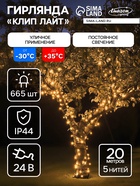 УЦЕНКА Гирлянда «Клип-лайт» 5 нитей по 20 м, IP44, УМС, тёмная нить, 665 LED, свечение тёплое белое, 24 В 10849612