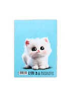 Блокнот раскраска 12 л., 130?180 «Котик» (комплект 10 шт) - фото 36488284