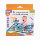 Акваковрик надувной развивающий водный «Морские жители», 65×50 см + игрушка В ПОДАРОК - Фото 11