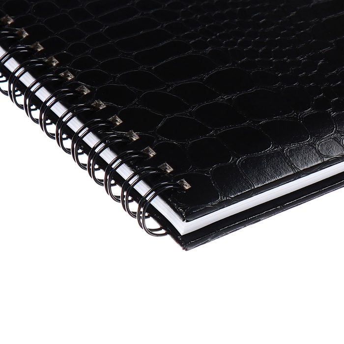 Планинг датированный 2025 года, 64 листа, Attomex. Arkona, твердая обложка бумвинил с поролоном, блок 70 г/м2, чёрный, 294 х 142мм 10848601 - фото 16659716