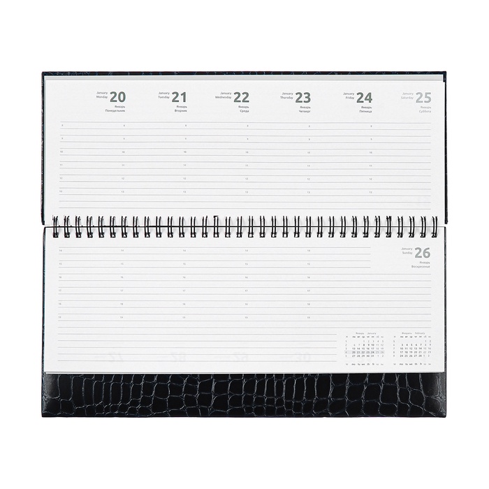 Планинг датированный 2025 года, 64 листа, Attomex. Arkona, твердая обложка бумвинил с поролоном, блок 70 г/м2, чёрный, 294 х 142мм 10848601 - фото 16659722