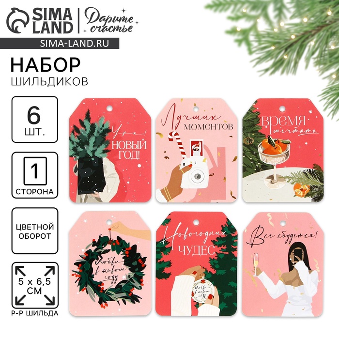 

Шильдик на подарок «Всё сбудется!», набор 6 штук, стильные девушки, 6,5 х 5,1 см