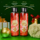 УЦЕНКА Новогодний подарочный набор косметики «Зимняя вьюга», с ароматом имбирного пряника и корицы. Красная серия - Фото 2