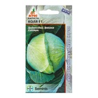 Семена Капуста белокочанная, «Коля», F1, 15 шт., Seminis, «Агрос»  (артикул 10839937)  большой выбор товаров оптом и в розницу по низким ценам с доставкой