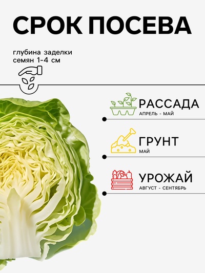 Семена Капуста белокочанная «Нью-Йорк», F1, 15 шт., «Агрос»