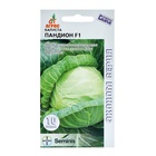 Семена Капуста белокочанная «Пандион», F1, 10 шт., «Агрос» (комплект 2 шт) - фото 67927266