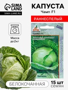 Семена Капуста белокочанная, «Чамп», F1, 15 шт., Seminis, «Агрос» - Фото 1