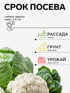 Семена Капуста цветная, «Форталеза», F1, 10 шт., Seminis, «Агрос» - Фото 2