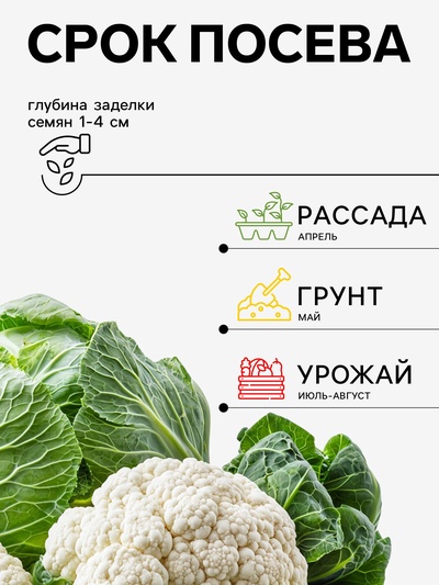 Семена Капуста цветная, «Фридом», F1, 10 шт., Seminis, «Агрос»