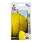 Семена Дыня «Нежная», 10 шт., «Агрос» - Фото 1