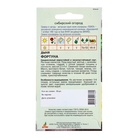 Семена Дыня «Фортуна», 10 шт., «Агрос» - Фото 2