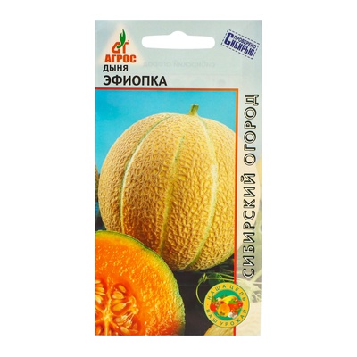 Семена Дыня «Эфиопка», 10 шт., «Агрос»