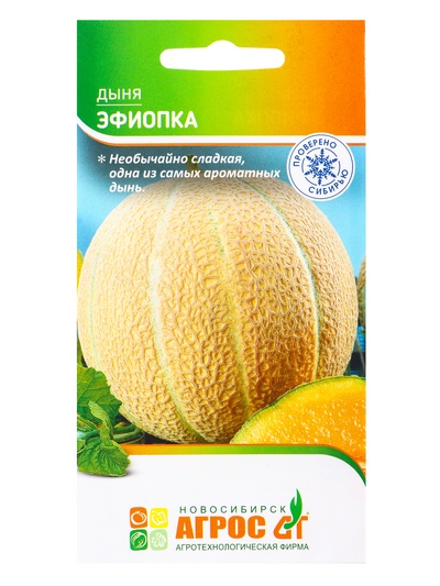 Семена Дыня «Эфиопка», 10 шт., «Агрос»