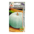 Семена Тыква, «Волжская серая 92», 3 шт., «Агрос» - Фото 1